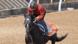 土曜中山競馬場の注目激走馬…中山１１Ｒ日経賞・Ｇ２