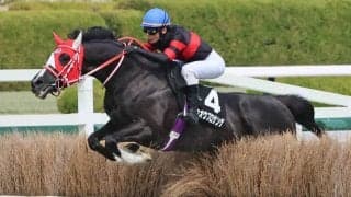 【阪神８Ｒ・三木ホースランドパークＪＳ】４・１億円馬ホウオウプロサンゲが１０馬身差の圧勝　小野寺祐太騎手「いいところを狙えそう」