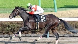 【中山１０Ｒ・伏竜Ｓ】「本当にいい馬です」西村淳也騎手も絶賛！　砂の素質馬ダノンバーボンが堂々の無傷３連勝　