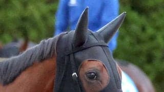 【中京１１Ｒ・マレーシアＣ】１番人気ルージュソリテールが完勝　西塚洸二騎手「注文をつけるところはないですね」