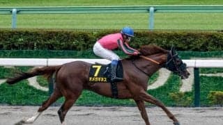 【マーチS予想】斤量は軽すぎても重すぎてもダメ!? 実績的にハンデが見込まれすぎの感がある人気の一角