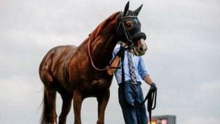 【マーチS前日オッズ】オメガギネスが5.3倍で1番人気
