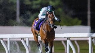 【船橋・京成盃グランドマイラーズ枠順】昨年のかしわ記念2着馬 ウィリアムバローズは8枠13番