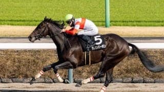 【伏竜S】ダノンバーボンが無傷の3連勝…ホリエモン愛馬は4着