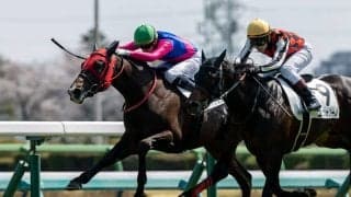 【中山6R】ディー騎乗 メイショウハチコウが抜け出す