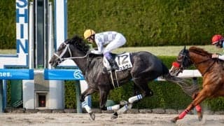 【阪神12R】武豊ギュルヴィが連勝