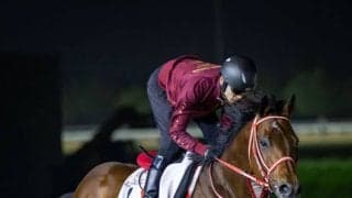 【ドバイWCデー】フォーエバーヤング昨年の雪辱へ…直前まとめ＆見どころ、日本勢がメイダンで激突