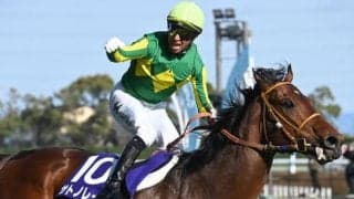 【AI予想・高松宮記念】1年ぶりの勝利へ準備万端！ 史上2頭目の連覇へ人工知能も太鼓判