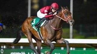 【ドバイWC結果】米国のマグニチュードが逃げ切りG1初V フォーエバーヤング届かず2着