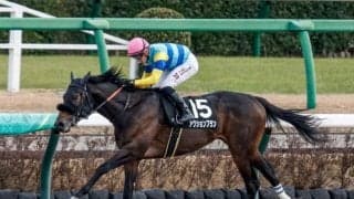 【マーチS予想】過去10年で1番人気は1勝のみ 難解なハンデのダート重賞