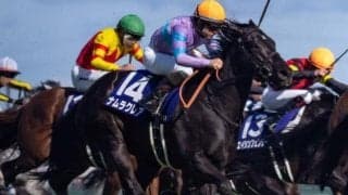 【高松宮記念予想】荒れ傾向をつかみ切る条件とは？ 過去データから探るGI高松宮記念