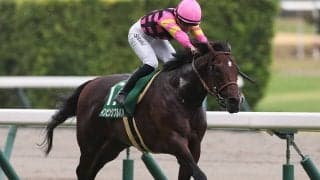 【競馬予想】高松宮記念は特殊な馬場を読み解くのが馬券的中のカギ　穴党記者が白羽の矢を立てた２頭