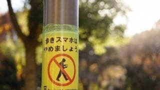 まだあった！ 勝手気ままな運動量の増やし方