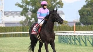 【高松宮記念・馬体重】ナムラクレアは476kg(-8)、サトノレーヴは530kg(-2)