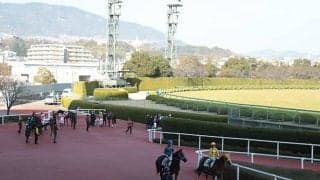 【六甲S結果】ベラジオボンドが2連勝でオープン初勝利