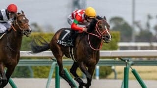 【大寒桜賞】GLAY・TERU命名、テルヒコウが鮮やか逃げ切りV