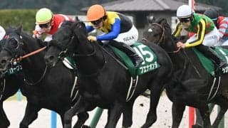 【ダービー卿CT】ブエナオンダ、ケイアイセナなどが登録