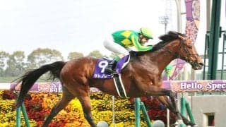 【小島太元調教師の競馬ジャーナル】短距離界はまだ世代交代が進んでいない…連覇したサトノレーヴの強さだけが際立った