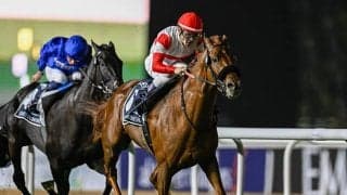 春の中距離王決定戦・大阪杯など3重賞/今週の競馬界の見どころ