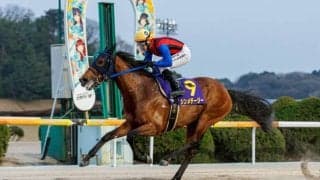 【佐賀・はがくれ大賞典】盤石の走りで連覇、シンメデージー完全復活…吉原は記録更新