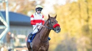 【大阪杯登録馬】ダノンデサイル、クロワデュノールなど16頭