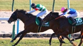 【チャーチルダウンズカップ登録馬】シンザン記念V、サンダーストラックなど15頭