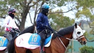 【ダービー卿ＣＴ・浅子の特注馬】イミグラントソングの復活に期待　舞台替わり、のど手術と一変の可能性あり