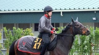 【チャーチルダウンズＣ】リゾートアイランドは早めの栗東入り　上原佑調教師「前走前よりは明らかに状態はいい」