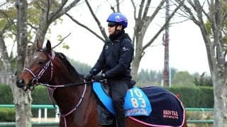 【ダービー卿ＣＴ】シリウスコルトは重賞２勝目へ調整順調　田中勝師「毎回、改めて…」