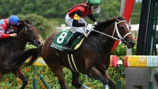 【先週のJRA抹消馬】24年小倉2歳S覇者エイシンワンド、2億円馬ユティタムなど