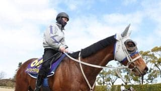 【大阪杯】武豊騎手とコンビのメイショウタバルが復活へ順調　陣営「１００点以上の過程で調整できている」