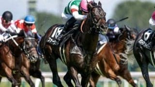 【ダービー卿CT展望】好走データを備えるファーヴェントが重賞初制覇へ挑む