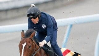 【チャーチルダウンズＣ】マイル合うサンダーストラック重賞連勝へ　太田助手「中身をしっかり上げていきたい」