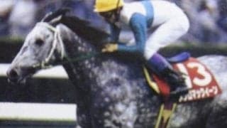 大阪杯着差ランキングTOP5 1位は約1年ぶりの出走で5馬身差の圧勝劇