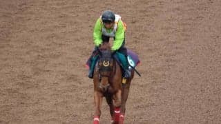 タッチングスピーチの2024など、先週の入厩情報/栗東トレセンニュース