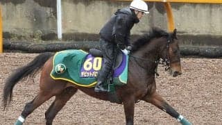 【大阪杯】デビットバローズで３連覇かかる上村調教師＆ロードカナロア産駒「一発がないかなと思っている」