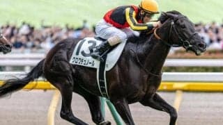 【大阪杯】GI昇格後初の父仔制覇へ キタサンブラック産駒の2頭が参戦だ