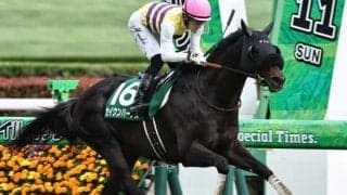 【大阪杯】50歳の幸英明騎手 セイウンハーデスで5年ぶりのGI制覇なるか