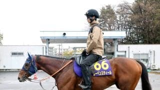 【Ｇ１トク捜リレー】美浦・浅子記者の大阪杯注目は２度目の栗東滞在を選択した重賞５勝馬
