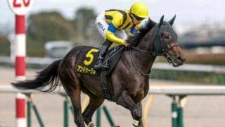 【チャーチルダウンズC予想オッズ】アンドゥーリルが予想1番人気