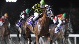 【船橋・京成盃グランドマイラーズ結果】ジョージテソーロが直線で差し切って重賞初制覇