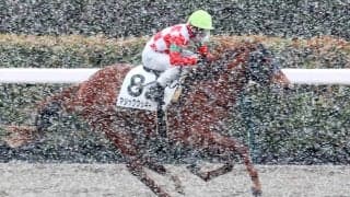 【バイオレットＳ】２年連続で後の重賞馬誕生の出世レース　加藤士厩舎期待の２頭がスタンバイ