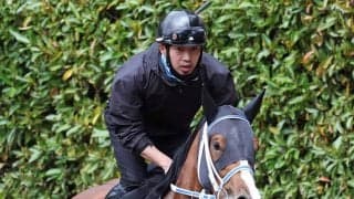 【チャーチルダウンズＣ】シーミハットクが連勝で重賞制覇狙う　寺島調教師「能力のある馬に勝ち切ったことは大きい」