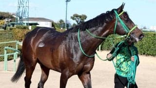 【ダービー卿ＣＴ】前走自己ベストタイの時計で快勝した６歳馬メタルスピード　「あの時計で走れるとは」と陣営も驚き