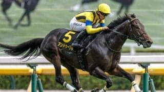 【チャーチルダウンズC展望】前走GI組のアンドゥーリルが実力を見せつける