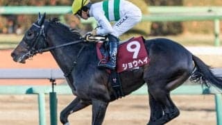 大阪杯のノーザンF生産馬の好走パターンとは ショウヘイなど3頭に注目