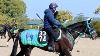 【注目馬動向】伏竜Ｓで無傷３連勝を飾った砂の“怪物”ダノンバーボンはケンタッキーダービーへ！