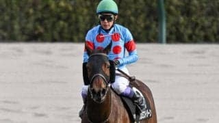 【園田・兵庫女王盃注目馬】新年度最初のダートグレード重賞は牝馬の戦い エンプレス杯の前哨戦