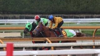 スウィートハピネス、桜花賞1週前追い切り速報/栗東トレセンニュース