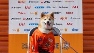 【Ｊ１清水】「ワンファミリー！！」ＤＦ蓮川壮大の愛犬・茶々がプロ契約締結　最短出場は５日の長崎戦　４月１日の発表だけに…
